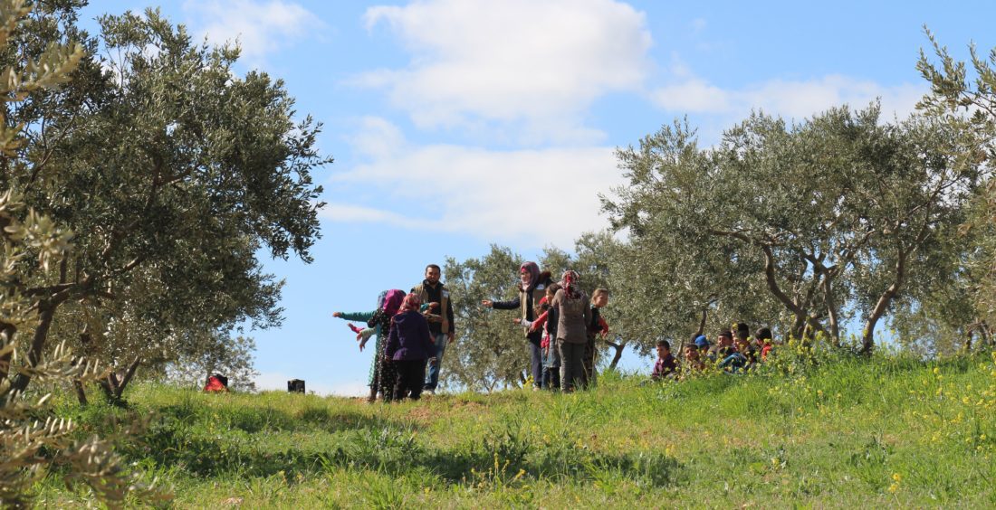 مدارس الطبيعة