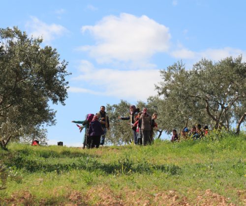 مدارس الطبيعة