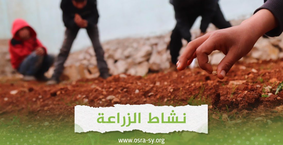 نشاط الزراعة