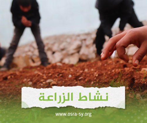 نشاط الزراعة